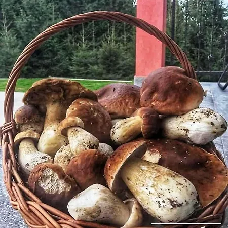 빌라 Gorska Lokvarsko Jezero 로크베